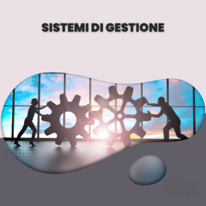 Sistemi di gestione